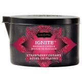 Load image into Gallery viewer, Kama Sutra Massage Candle - A Little More Interesting